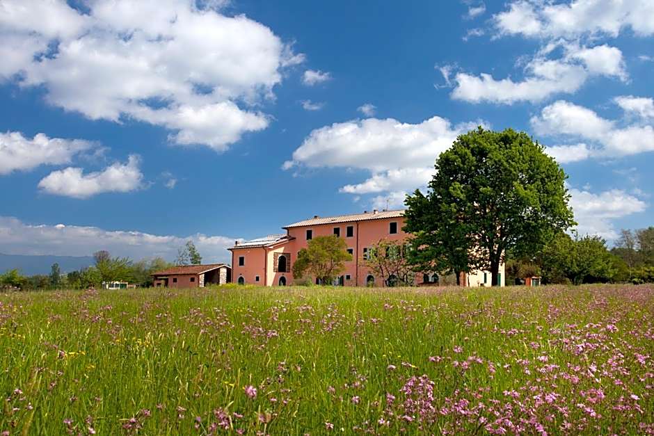 Tenuta San Giovanni Lucca