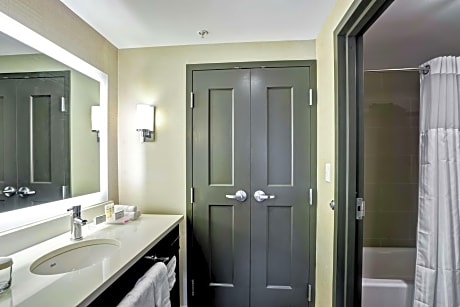 1 King Bed Studio Suite Nonsmoking