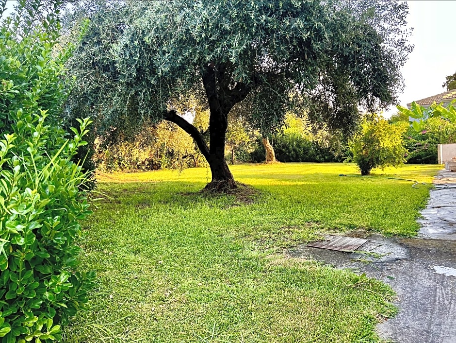 Bruskos Hotel & Suites