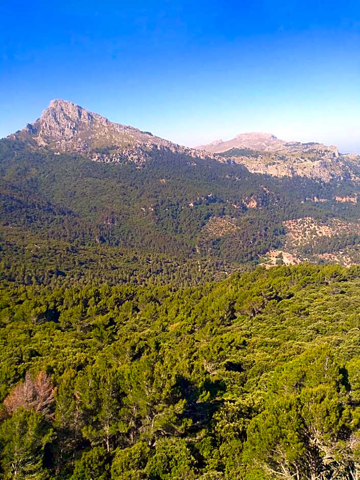 Sa Plana Petit Hotel