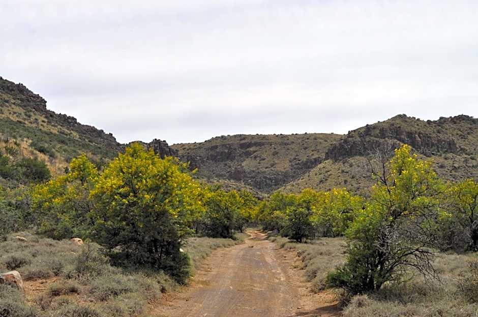 Ko Ka Tsara Bush Camp