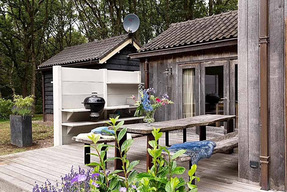 Bosvilla Kennemerduinen