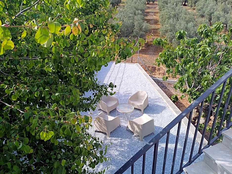 Casita of Casa Olivar