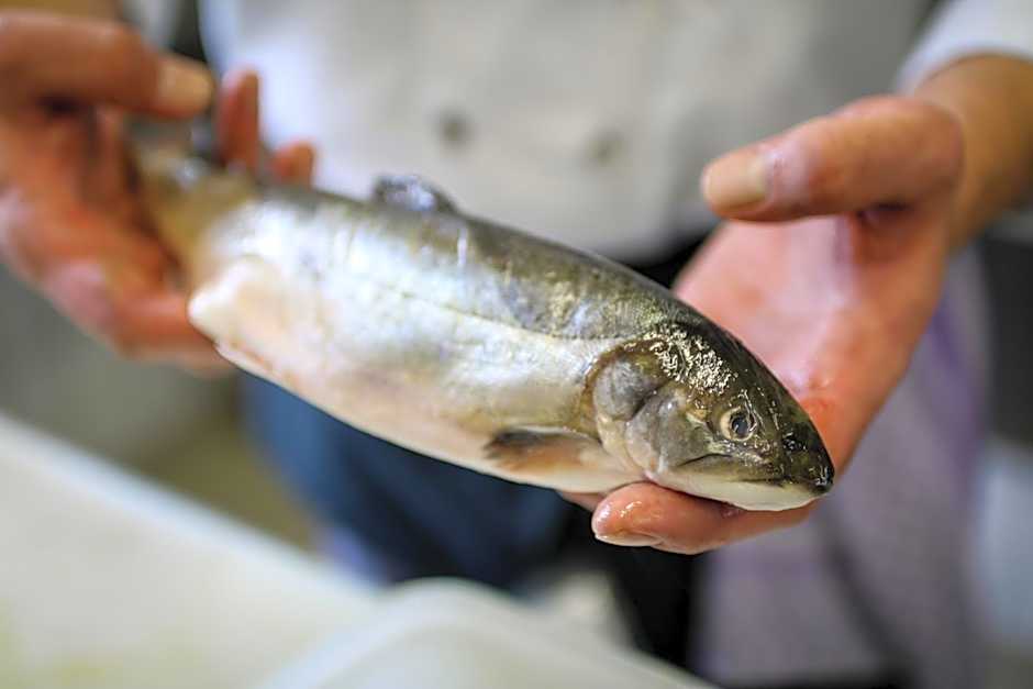 Boutique Hotel zur Post