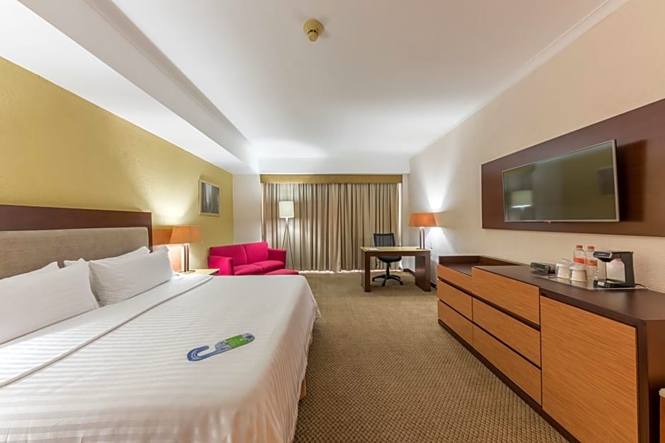 Holiday Inn Guadalajara Select By IHG