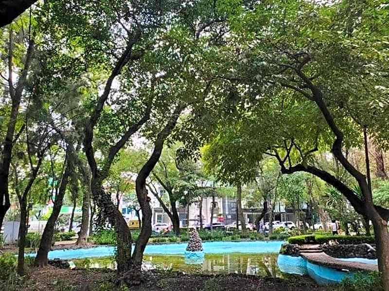 HABITACIONES EN EXCELENTE UBICACIÓN PARA 8 PERSONAS