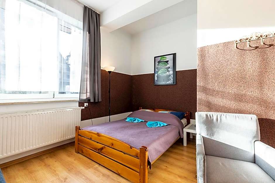 Brzoza w centrum Zakopanego