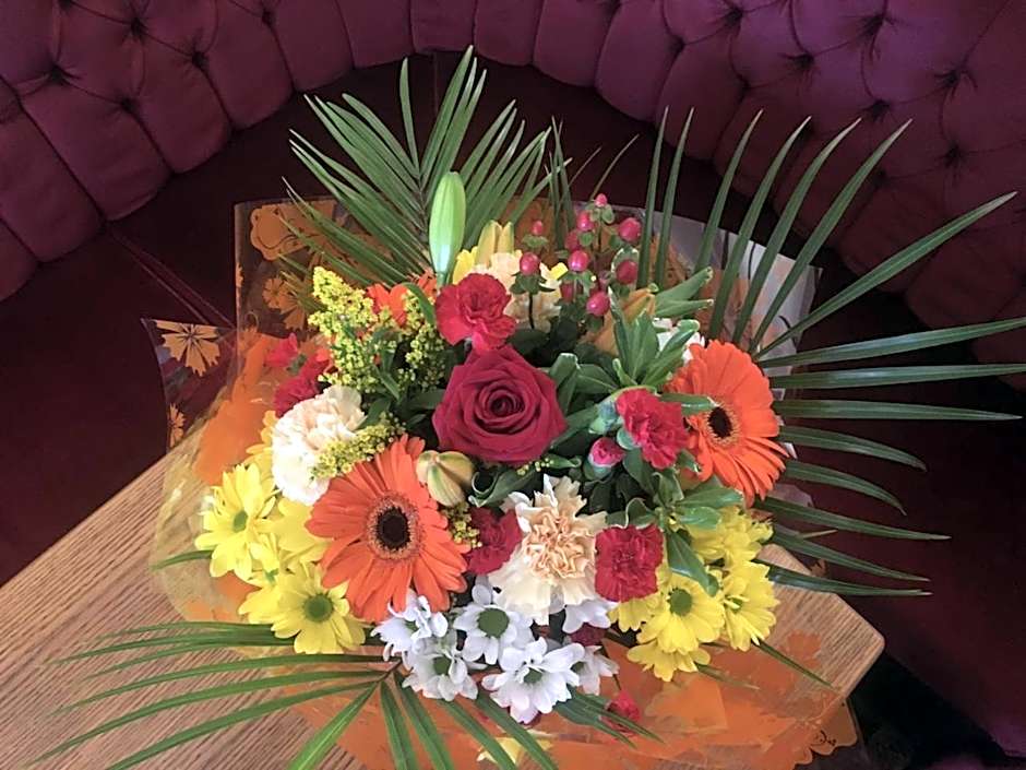 The Downs, Babbacombe