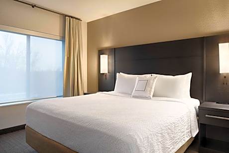 1 Bedroom Suite, 1 King, Alternate bed: sofa bed, City view