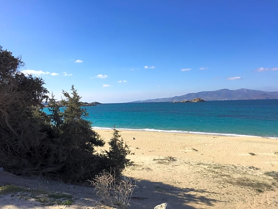 Depis Place & Apartments