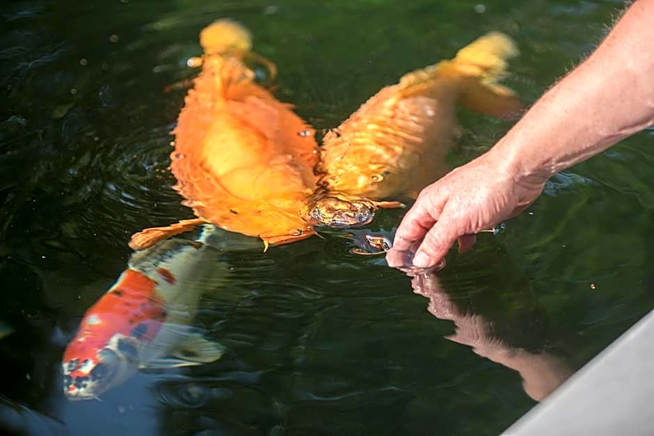 Vakantiepark Zevenbergen