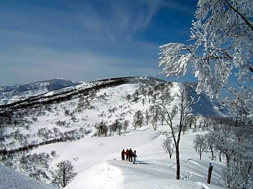 Togari Onsen Alpine Plaza - Vacation STAY 02702v