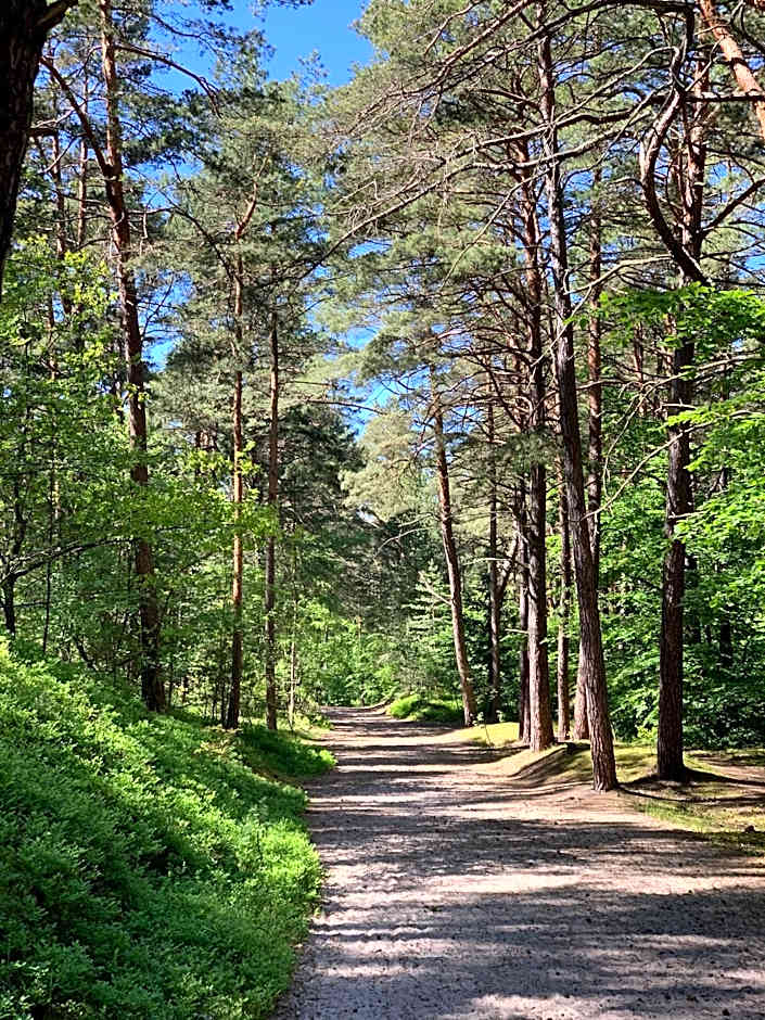 Apartament Jantarowe Zacisze Green