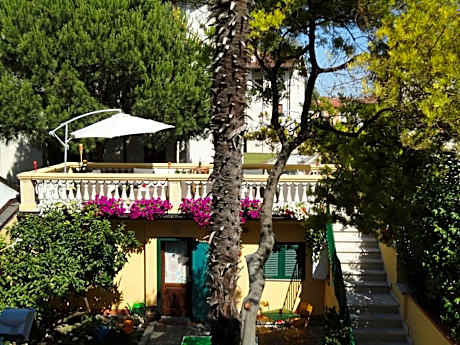 Bed in 4-Bed Mixed Dormitory Room