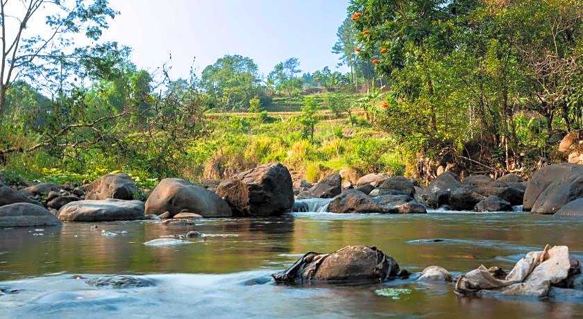 Bobocabin The Tavia, Puncak