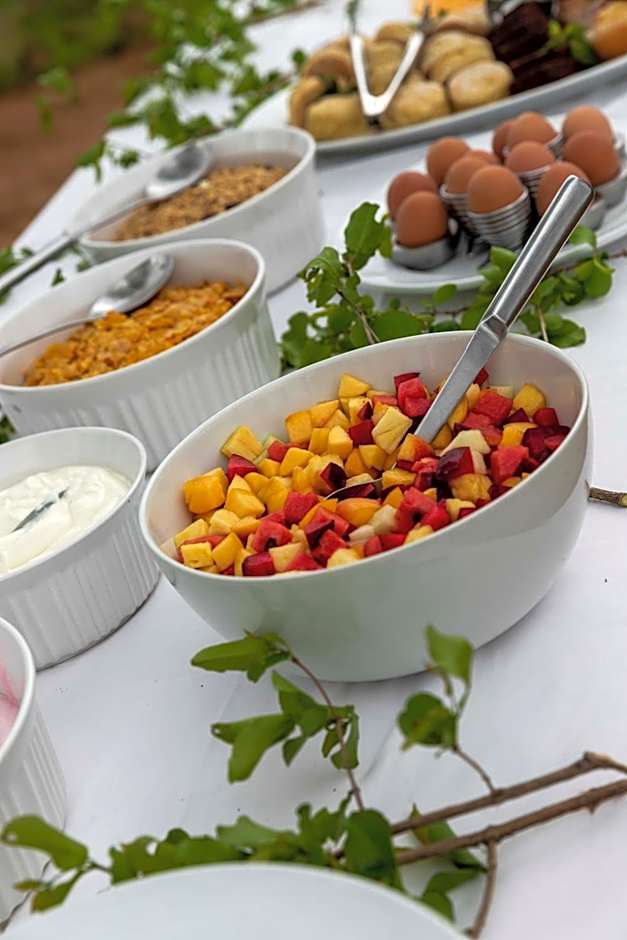 Ku Sungula Safari Lodge