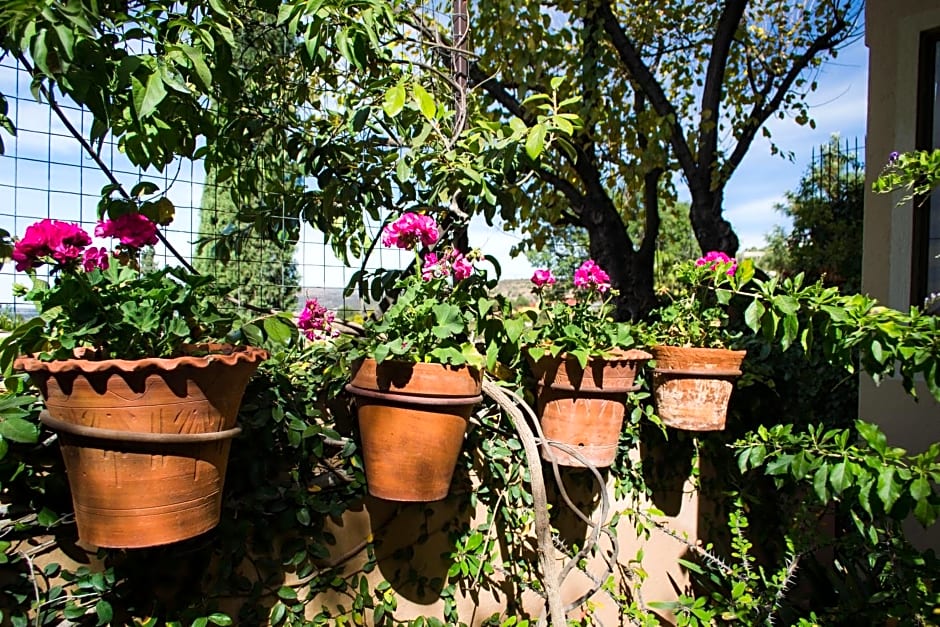 Las Terrazas