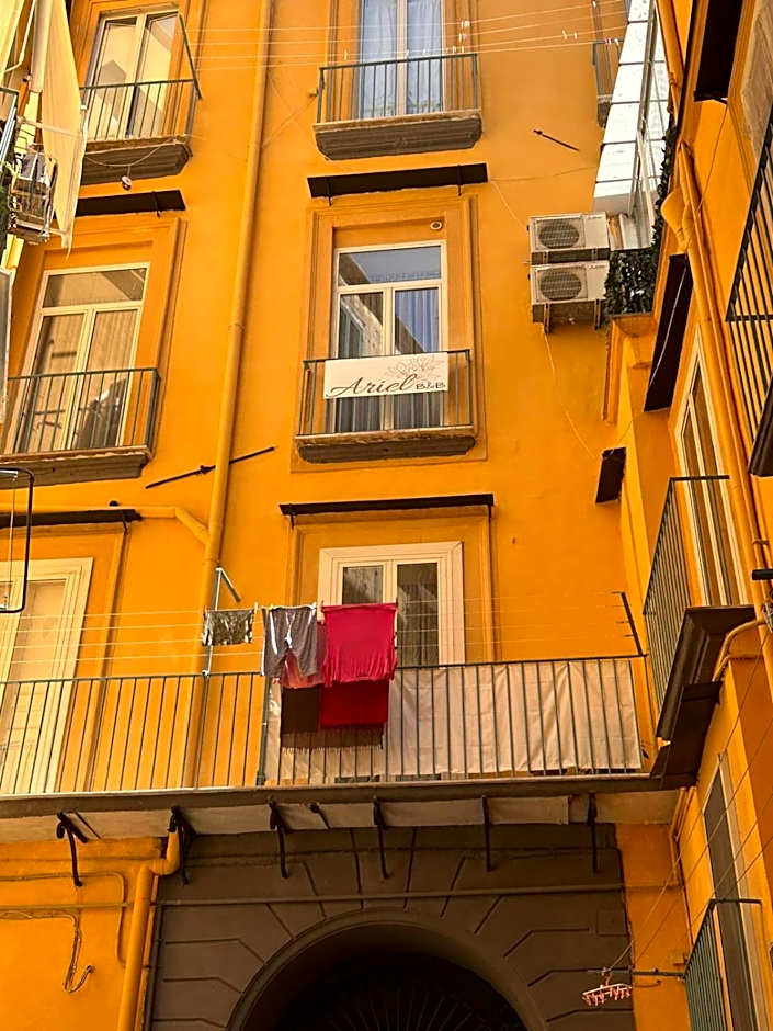 ARIEL B&B