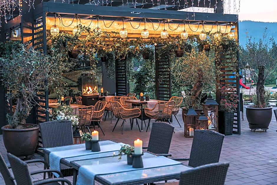 Srebrny Bucznik Wellness & Restaurant