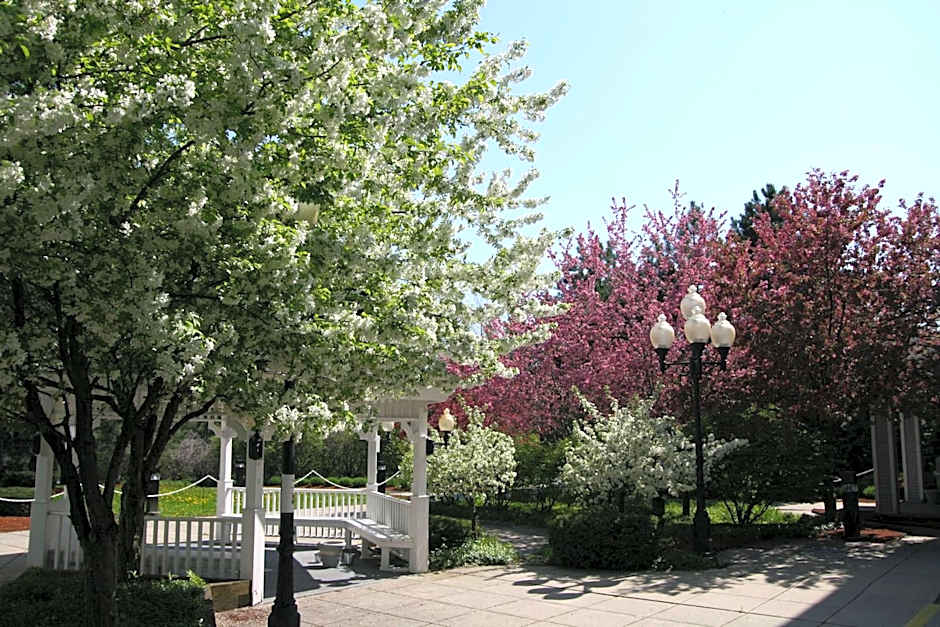 Hampton Inn By Hilton Burlington