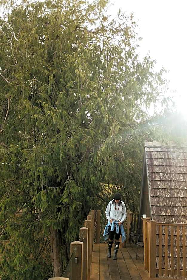 The Shoreline Tofino
