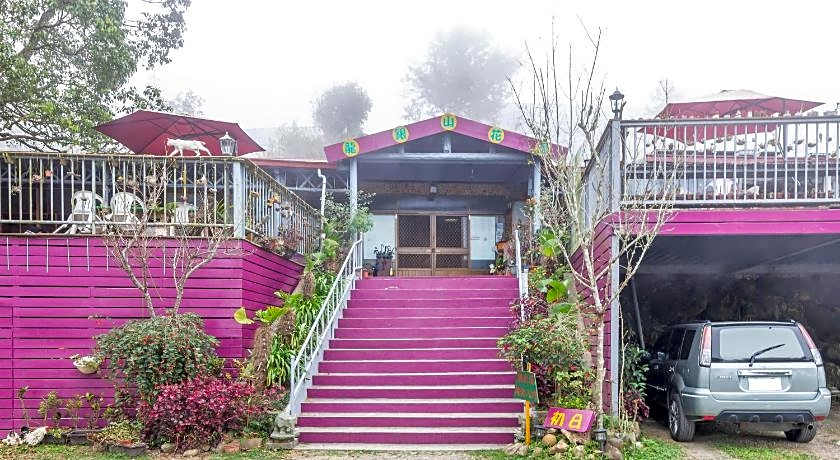 Seeking-Alishan Sunrise