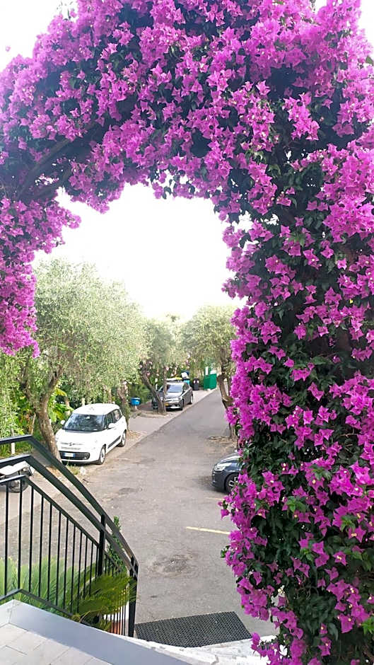 Hotel Bellavista