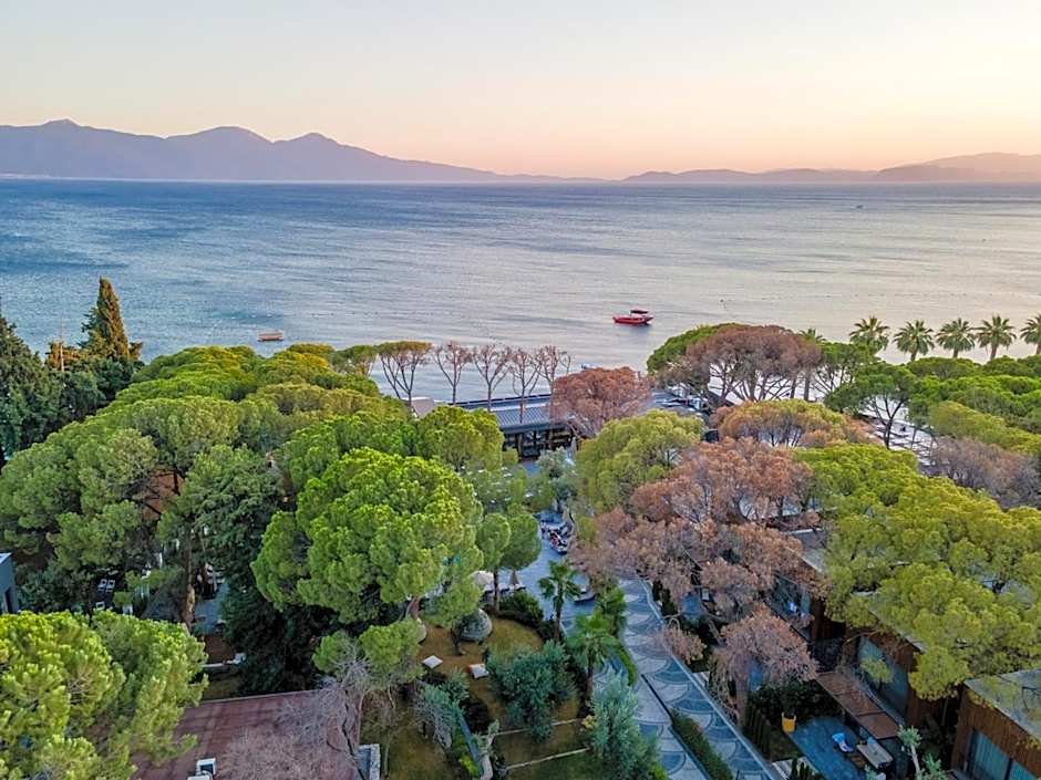 Unique Life Style Hotel