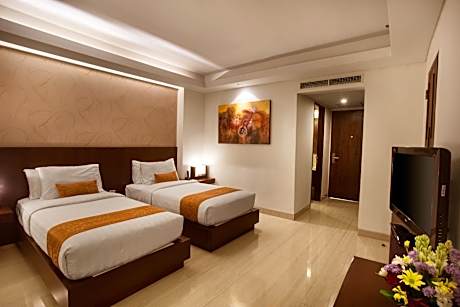 Deluxe Double or Twin Room (No Window)
