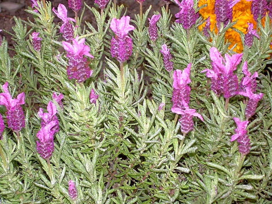 Casa Balducci Bed&Breakfast