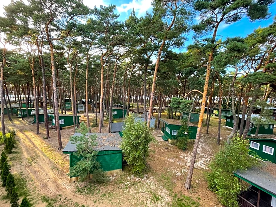 Domki letniskowe Delfin