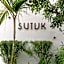 Hotel Sutuk
