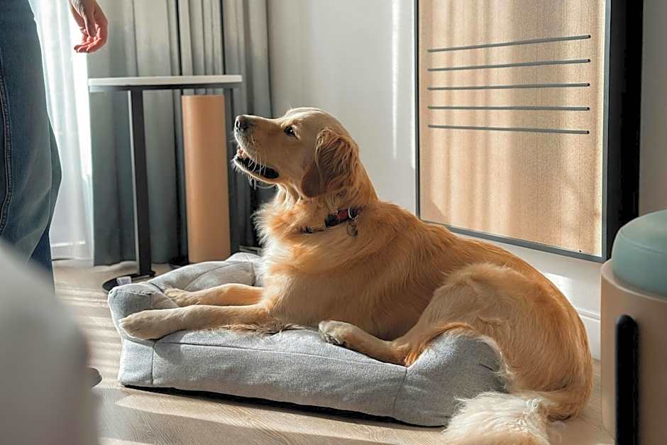 Marriott Long Beach Downtown