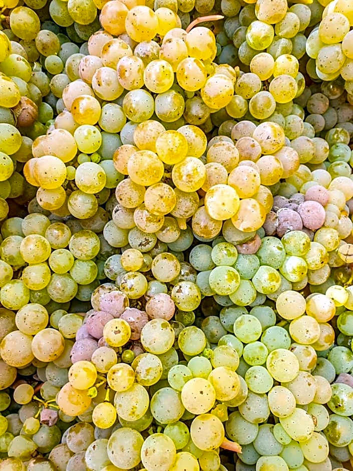 Moselhotel Weinhaus Simon `Sauna`Restaurant`ELadesäule