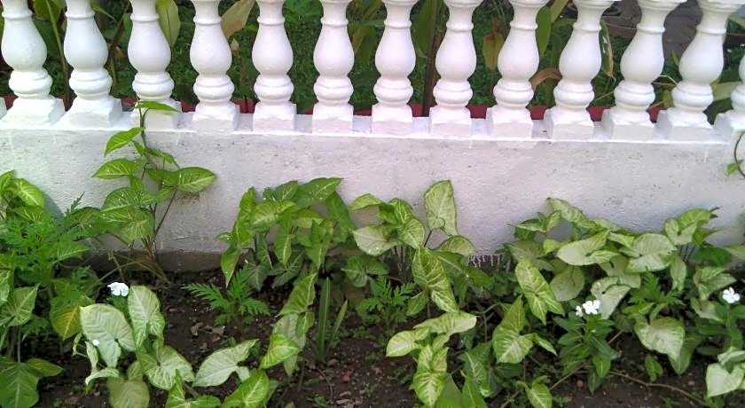 Nathan's Holiday Home