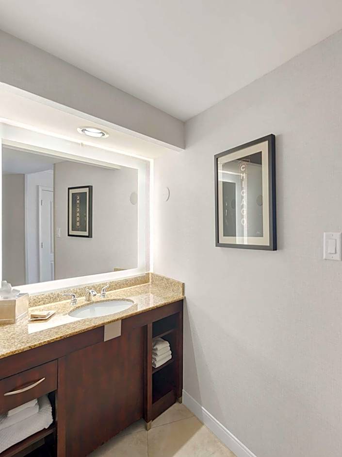 Hilton Chicago/Oak Lawn