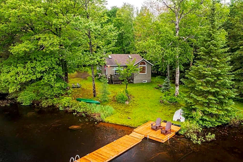 Bear Essentials Hideaway