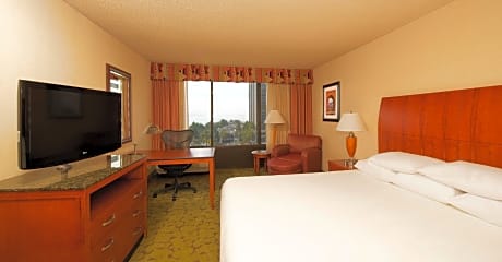 1 King Bed Bay View High Floor