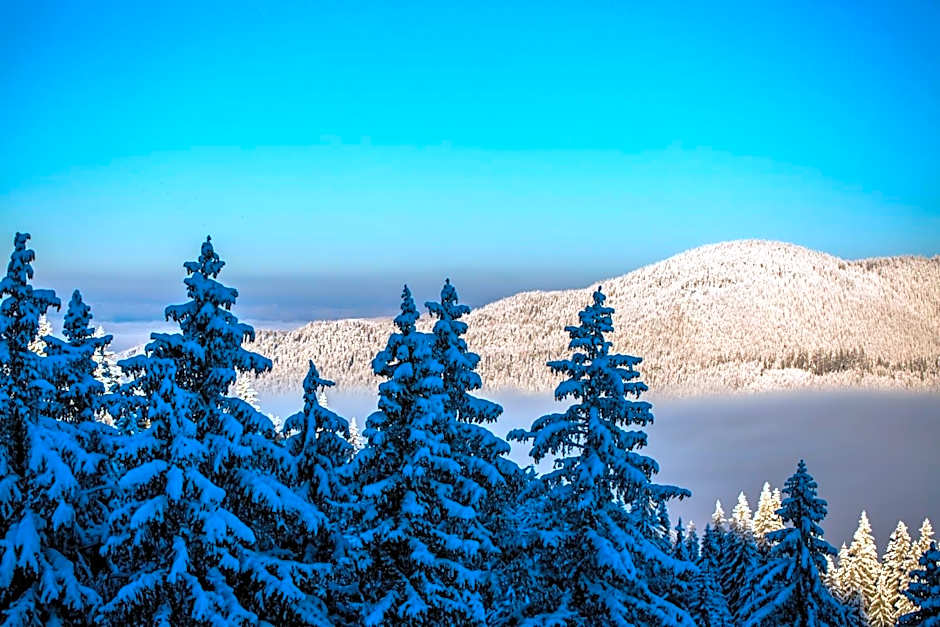 Sunny Hills Ski&Wellness