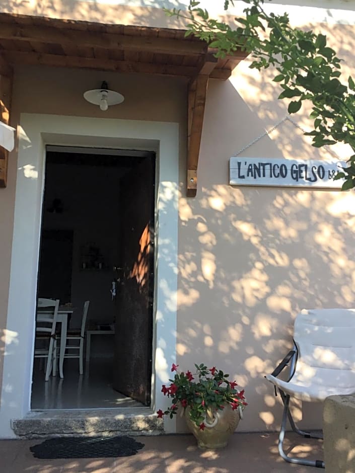 L'Antico Gelso