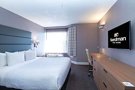 Standard Suite, 1 King Bed, Sofa Bed, Kitchenette