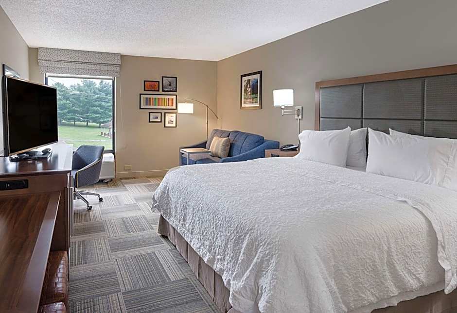 Photo 1 of 4 of 1 King Bed with Sofabed