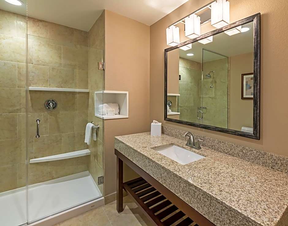 Courtyard by Marriott Houston I-10 West/Park Row