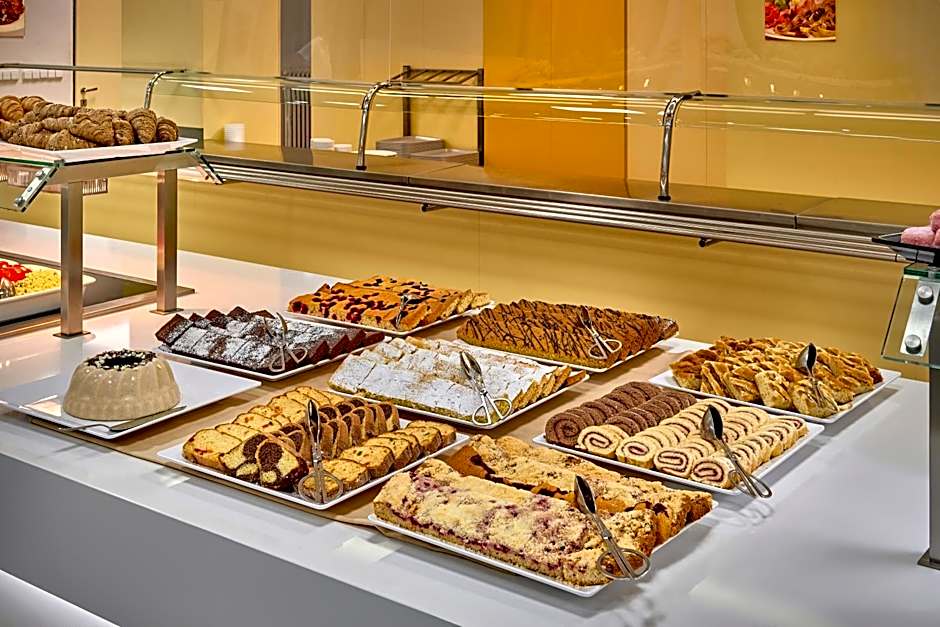 Congress & Wellness Hotel Olsanka