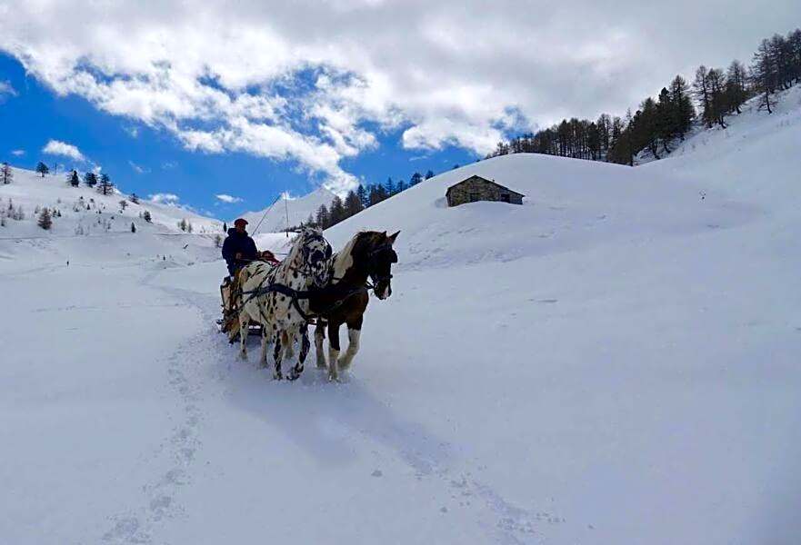 Résidence Château des Magnans by Nevesol
