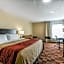 Comfort Inn & Suites Jasper Hwy 78 West