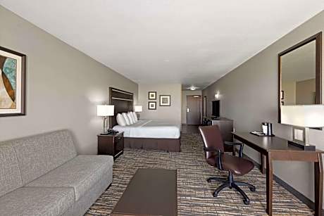 Deluxe King Room with City View - Mobility Access/Non-Smoking