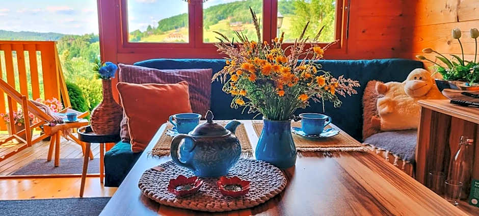 Zielone Wzgórza - Centrum Soliny - SPA