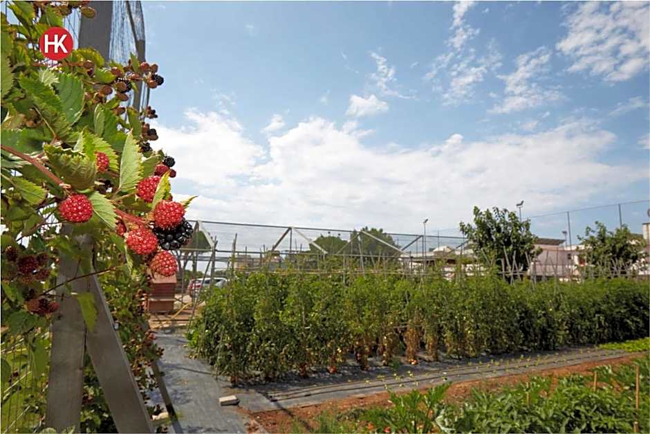 Hotel Residence Key Club