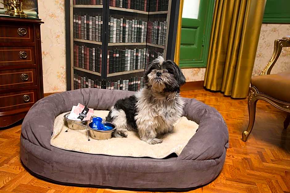 Casual del Teatro Madrid